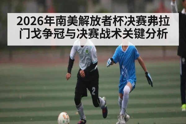 2026年南美解放者杯决赛弗拉门戈争冠与决赛战术关键分析