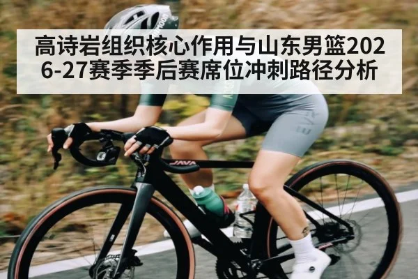 高诗岩组织核心作用与山东男篮2026-27赛季季后赛席位冲刺路径分析